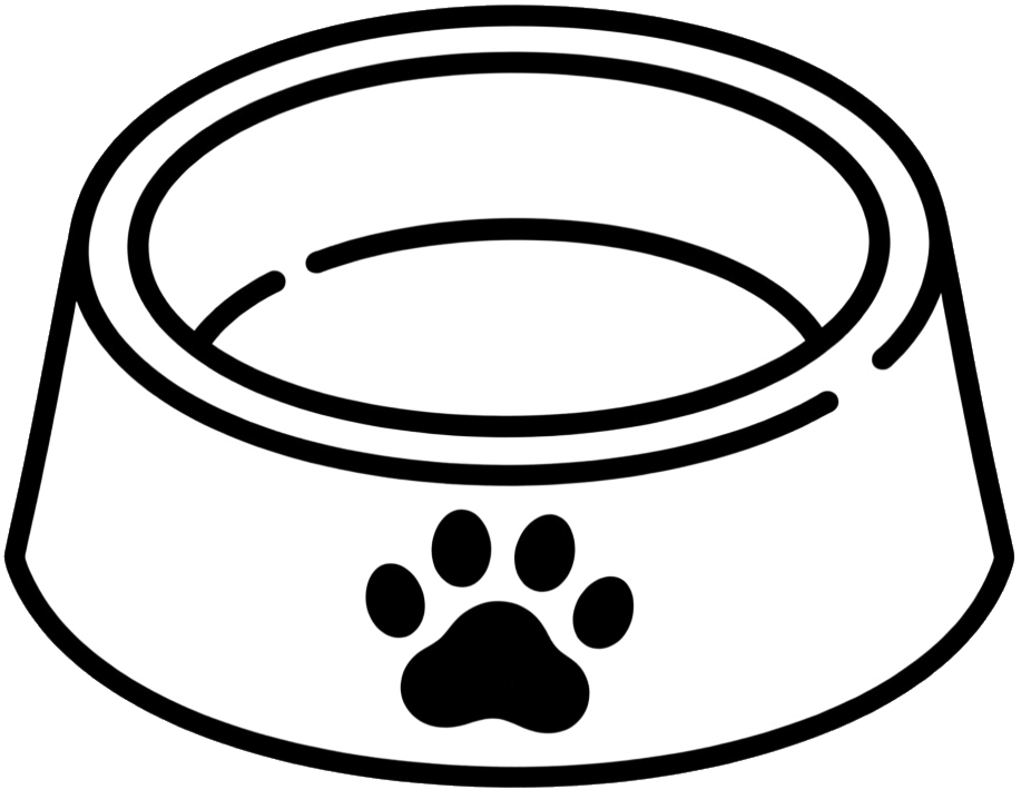 Empty cat bowl