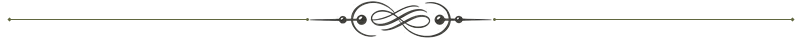 Section Divider