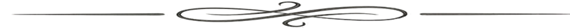 Section Divider