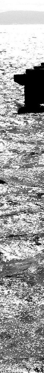 Berkeley Pier Contrast